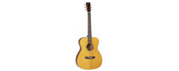 Tanglewood Strada TS3